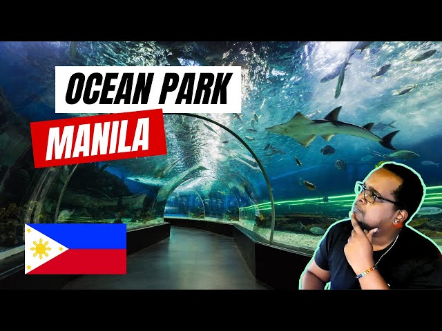 Taking a break from trading to visit Ocean Park Manila | 360