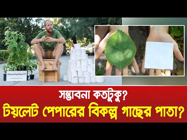 টয়লেট পেপারের বিকল্প গাছের পাতা? সম্ভাবনা কতটুকু? । Toilet Paper । Bangla News