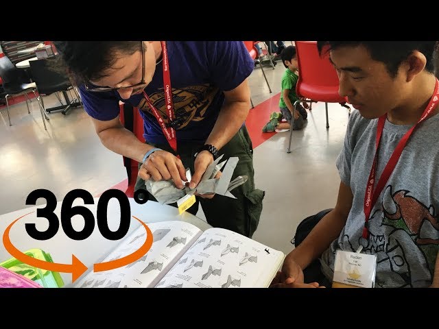 SATOSHI KAMIYA FOLDING IN 360! #2 - Origami Convention 2019