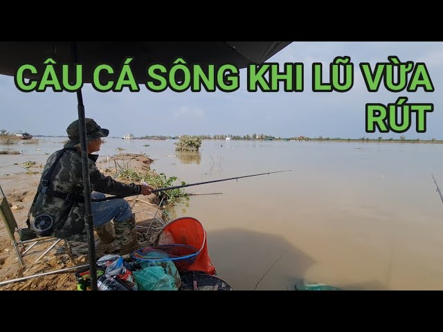 Du lịch bụi và câu cá phát trực tiếp!CÁ SÔNG THÁI BÌNH VẪN LÊN ĐỀU#fishing