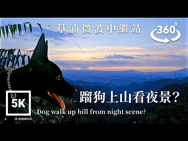 5K 360 VR Taiwan Dog 台灣犬Taipei Walk 蹓狗上山看夕陽 Dog Walk for Sunset | Taiwan Walk Asmr Built Environment