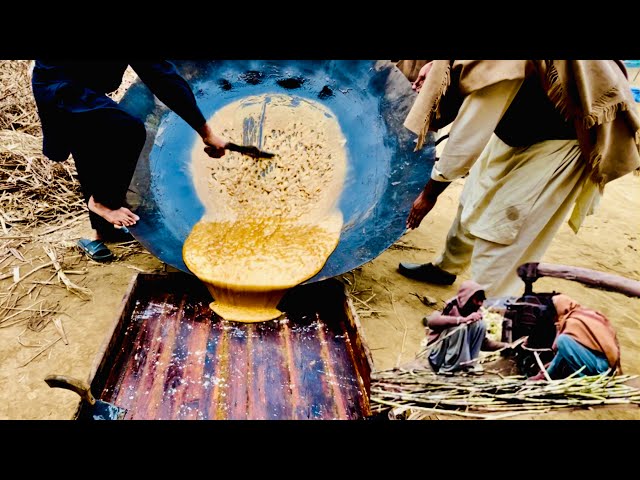 GURR BANAYA ! MAKING JAGGERY IN VILLAGE ! VILLAGE STYLE ! Wasi Bhai YT