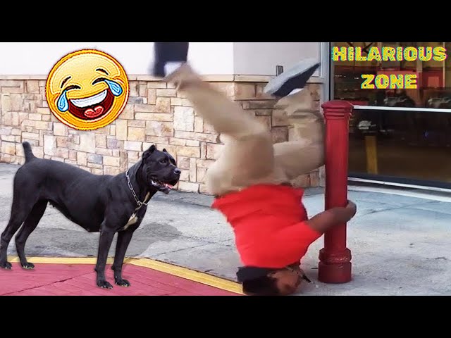 Funny & Hilarious People Life 😆 #108 | TRY NOT TO LAUGH 😂😁😆 | Instant Regret Fails Compilation 2025