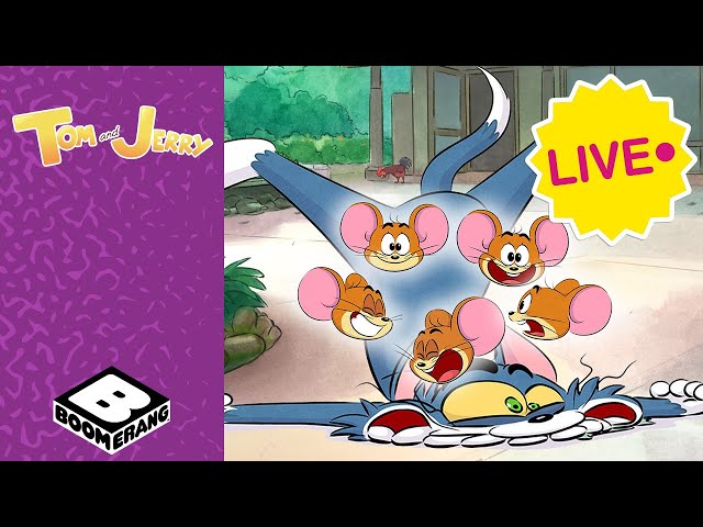 🔴 LIVE ANNIVERSAIRE TOM ET JERRY 🎂 🎈 |   24h/24 COMPILATION 🔴 | Tom et Jerry @boomerangFR