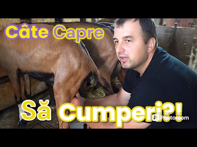 CÂTE CAPRE SĂ ÎȚI CUMPERI!?  #Orășean La Țară!