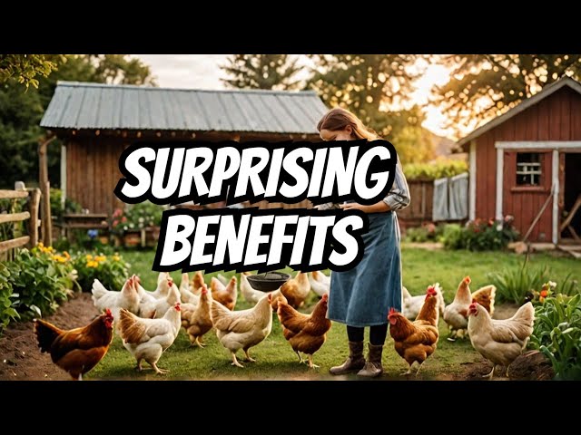 5 Astonishing Benefits of Homesteading! #chicken #homestead #chickencoop