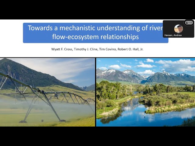 Toward a mechanistic understanding of river flow-ecosystem relationship