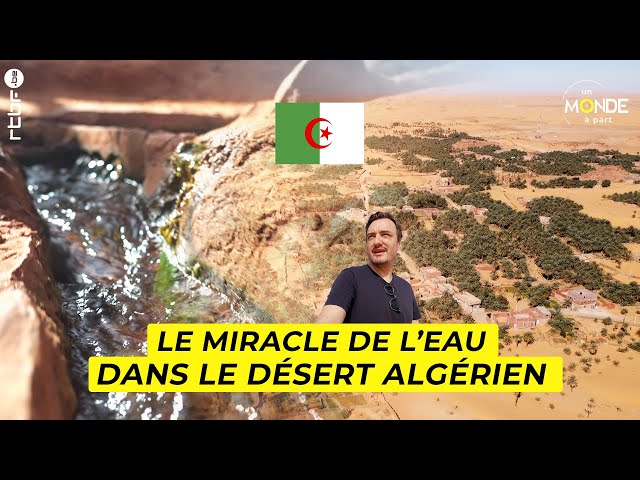 Algérie : le miracle de l'eau dans le désert algérien avec la foggora - Un Monde à part