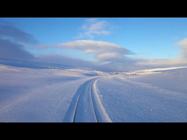 🌟NORTH POLE🌟LIVE TRAIN 24/7&LIVE CHAT.🎄Cab View and Cab Ride on Beautiful Winter Norway Live View.