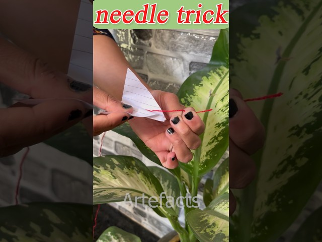 🧵💡 Needle 💉🧵 threader #hack #shorts 💡🧵