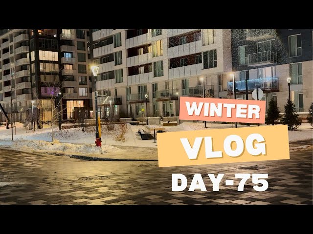 Winter vlog | Day-75 | Completed my daily vlog challenge for 75 days #snow #canadavlog #wintervibes