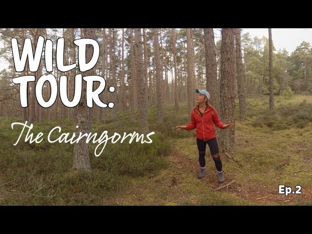 Wild Tour: The Cairngorms Ep 2 - A 360/VR experience