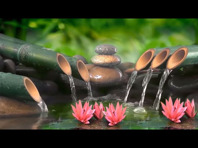 🔴 Relaxing Music 24/7 - Nature Soul,  Healing Music, Meditation Music, Spa Music, Sleep, Study Music