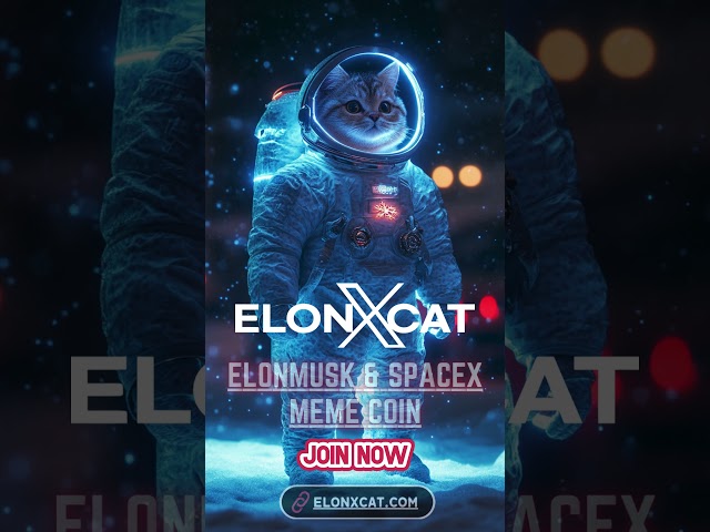 ElonXCat The Meme Coin Taking Off to the Moon 🚀🌟 || ELONXMUSK & SPACEX MEME COIN ||