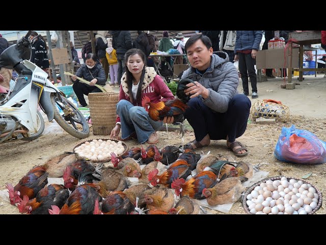 Robert sold a lot of chickens to prepare for the wedding. Green forest life