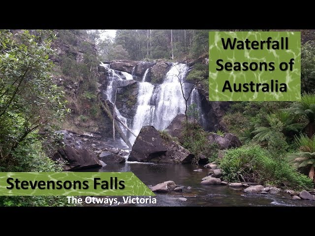 Stevensons Falls in the Otway Ranges near Barramunga, Victoria