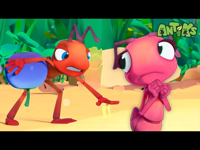 Stuck on You | 1 Hour of Antiks🐜 | Funny Adventure Cartoons for Kids | Be Brave!