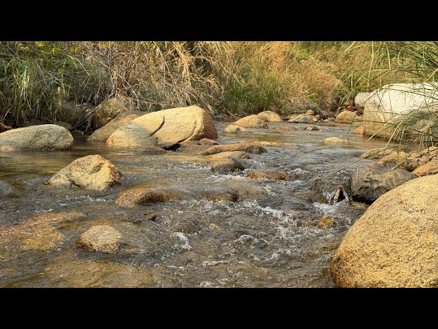 Natural Water sounds Relaxing Music for Sleep Meditation Music, Stress Relief Music, Calm Music