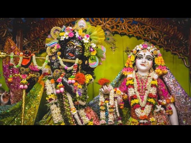 Bhoga Arati Darshan Sri Dham Mayapur 23 July 2023 | Harinam Sankirtan | hare krishna #harekrishna