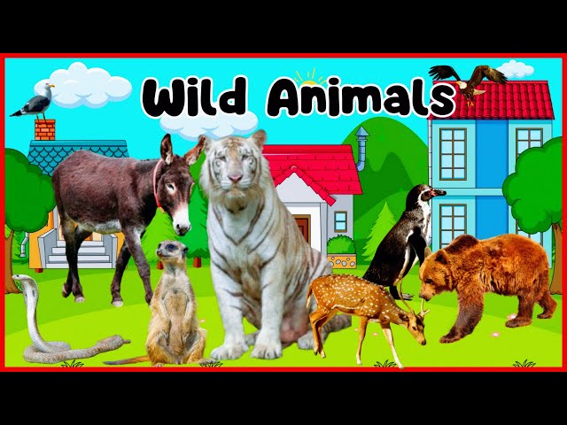 Wild Animals Names & Sounds for Toddler Kids | Kids Animals video | Learn Animals Nursery Rhymes