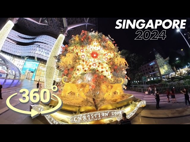 Singapore Orchard Road 20 Dec 2024