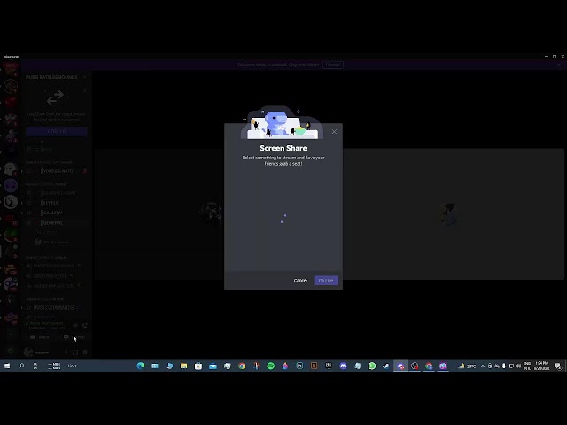 Xamou Live Stream