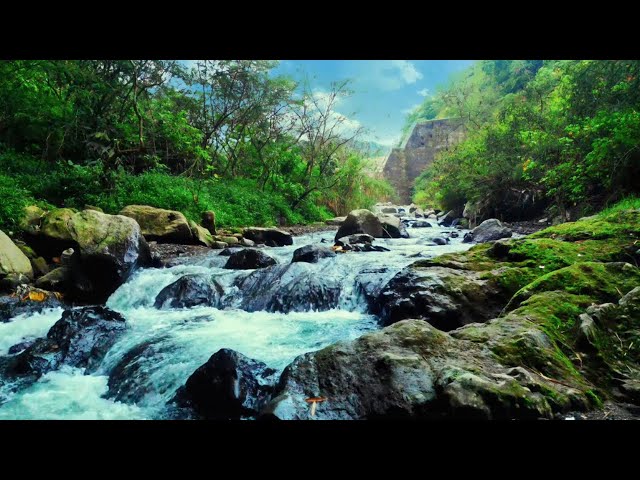 4K Relaxing River - Ultra HD Nature Video - Water Stream & Birdsong Sounds - Sleep/Study/Meditate