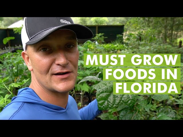 10 Top Plants for a Food Garden in Subtropical Climates- Florida Gardening