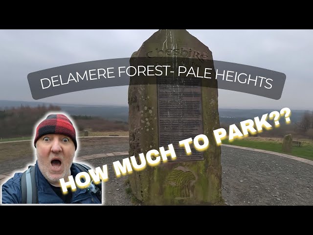 Forest Hike - Delamere Circular - Pale Heights