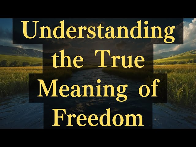 Understanding the True Meaning of Freedom #yourmonkhaku #buddhism #mindfulnes #spirituality