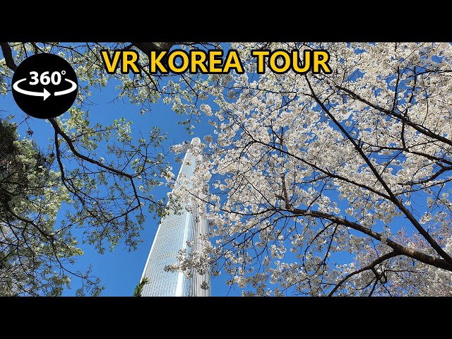 [4K 360° WALK] 서울 벚꽃명소 잠실 석촌호수 산책, 수많은 인파와 벚꽃 만발 - Cherry blossoms in Seokchon Lake, Jamsil