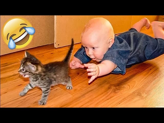 Cute animals Videos Compilation cute moment of the animals - Cutest Animals