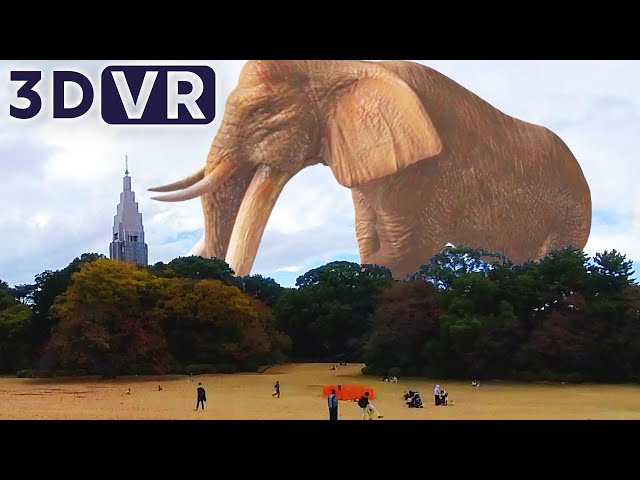 [VR180 3D] Giant elephant | VR VIDEO