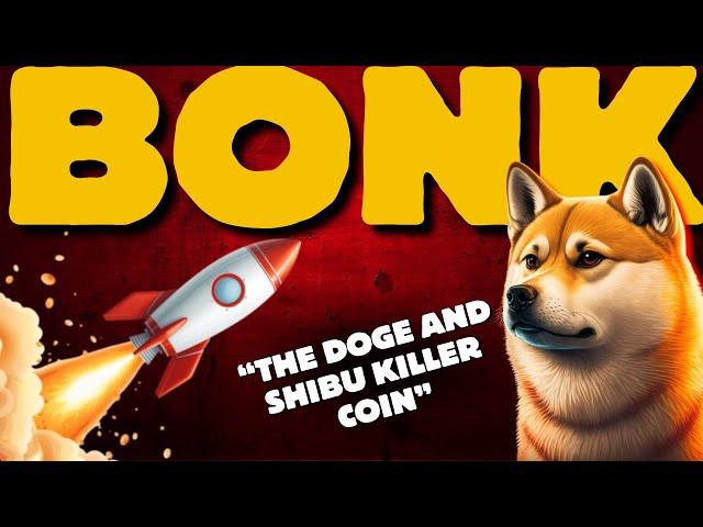 Is BONK Coin the Secret to Making You RICH in the Next 6 Months?