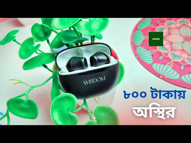 Wisdom Rock Pods Earbuds Review with Unboxing and Price in Bangladesh! Best TWS under 1000 Taka!