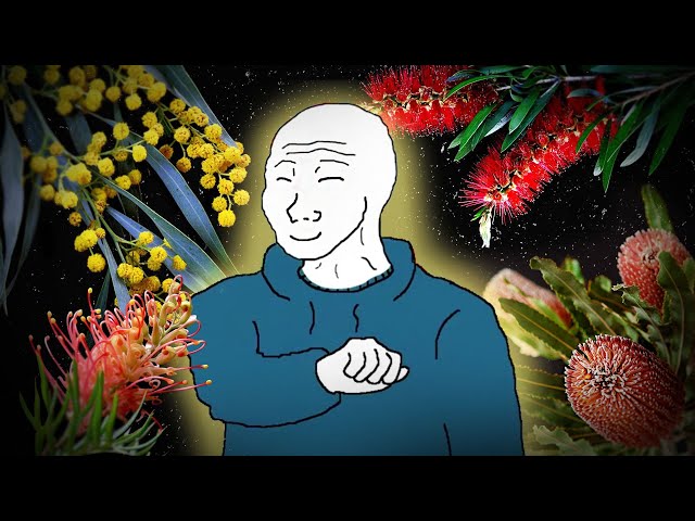 The Shut-ins Guide to Aussie Plants