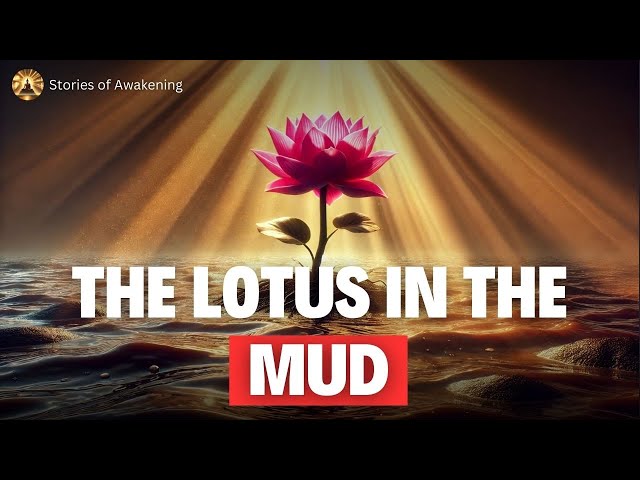 The Lotus in the Mud - A Life-Changing Tale of Growth and Resilience 🌸 | Stories of Awakening