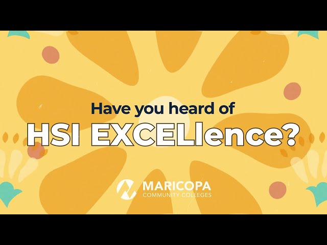 What is HSI EXCELence?