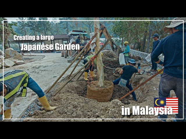 (Pro.66 - Ep.3) Planting! Professional Japanese Gardeners create a  garden in Malaysia