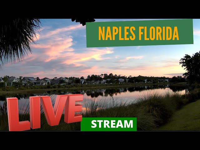 Naples Florida Live Webcam          by RTPNaplesHomes