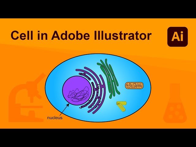 Cell in Adobe Illustrator