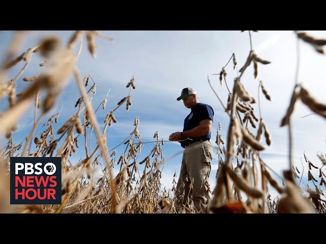 What struggling U.S. farmers want even more than federal aid