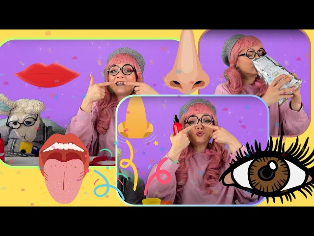 Let's Learn Our Senses with Ayu! 🌟👃👂👅👀✋ | Fun for Little Kids | Ayu and Gigi