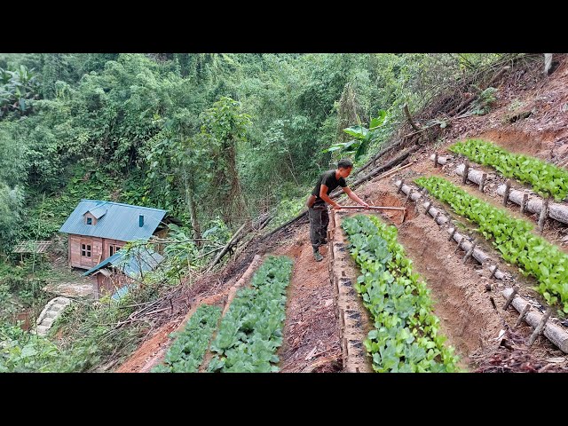 Full Video: Building an Organic Vegetable Garden in the Mountains and Harvesting to Market