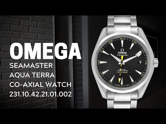 Omega Seamaster Aqua Terra 15000 Gauss Watch 231.10.42.21.01.002 | SwissWatchExpo