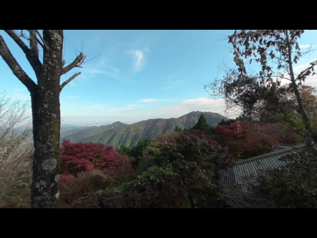 [VR180] Mount Mitake 御岳山 2021-11