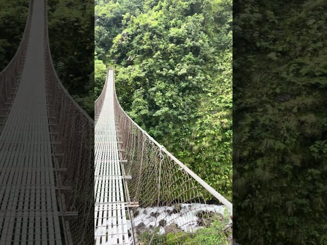 Waterfall  | Day-1 | #nature #waterfall #suspensionbridge