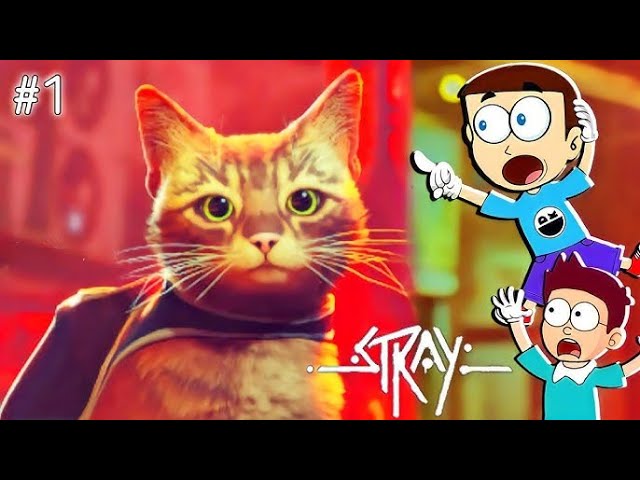 Stray Full Gameplay (4K 60FPS) - Live