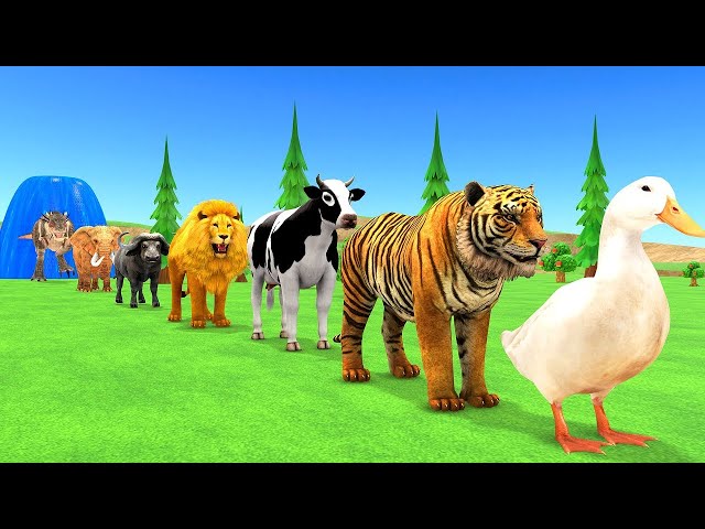 Long Slide Game With Elephant Gorilla Buffalo Hippopotamus Tiger - 3d Animal Game - Funny 3d Animals