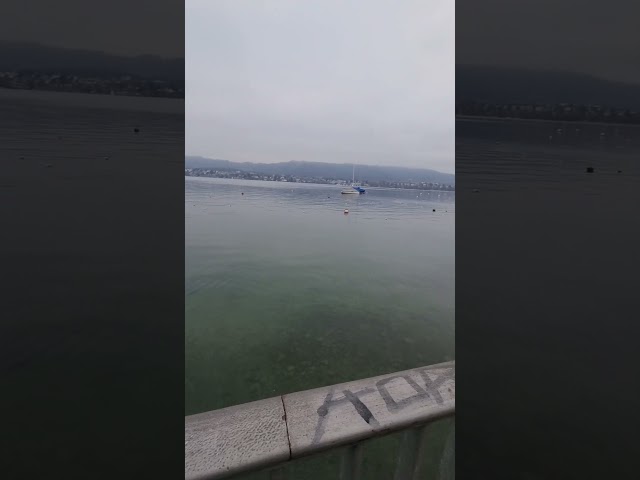 🚶‍♂️ Nachmittag Spaziergang Durch Zürichsee. 🚶‍♂️